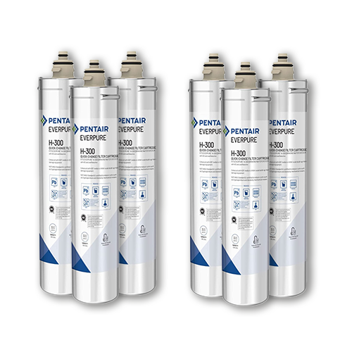Pack of 6 Pentair Everpure H-300 Water Filters - These high-quality water filters are designed for excellent filtration performance and are perfect for home or commercial use.