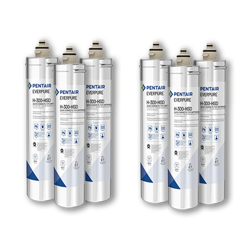 Pack of 6 Pentair Everpure H-300-HSD Water Filters - These high-quality water filters are designed for excellent filtration performance and are perfect for home or commercial use.