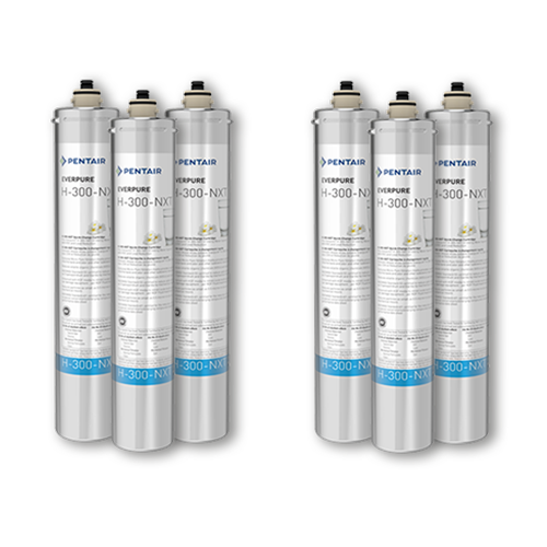 Pack of 6 Pentair Everpure EV927446 H-300-NX Water Filters - Enjoy clean, filtered water with these high-quality replacement cartridges. Perfect for home or commercial use.