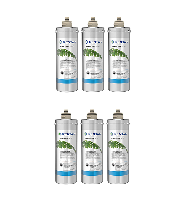 Pack of 6 Pentair Everpure EV973006 H-54 Water Filters - Enjoy clean, filtered water with these high-quality replacement cartridges. Perfect for home or commercial use.
