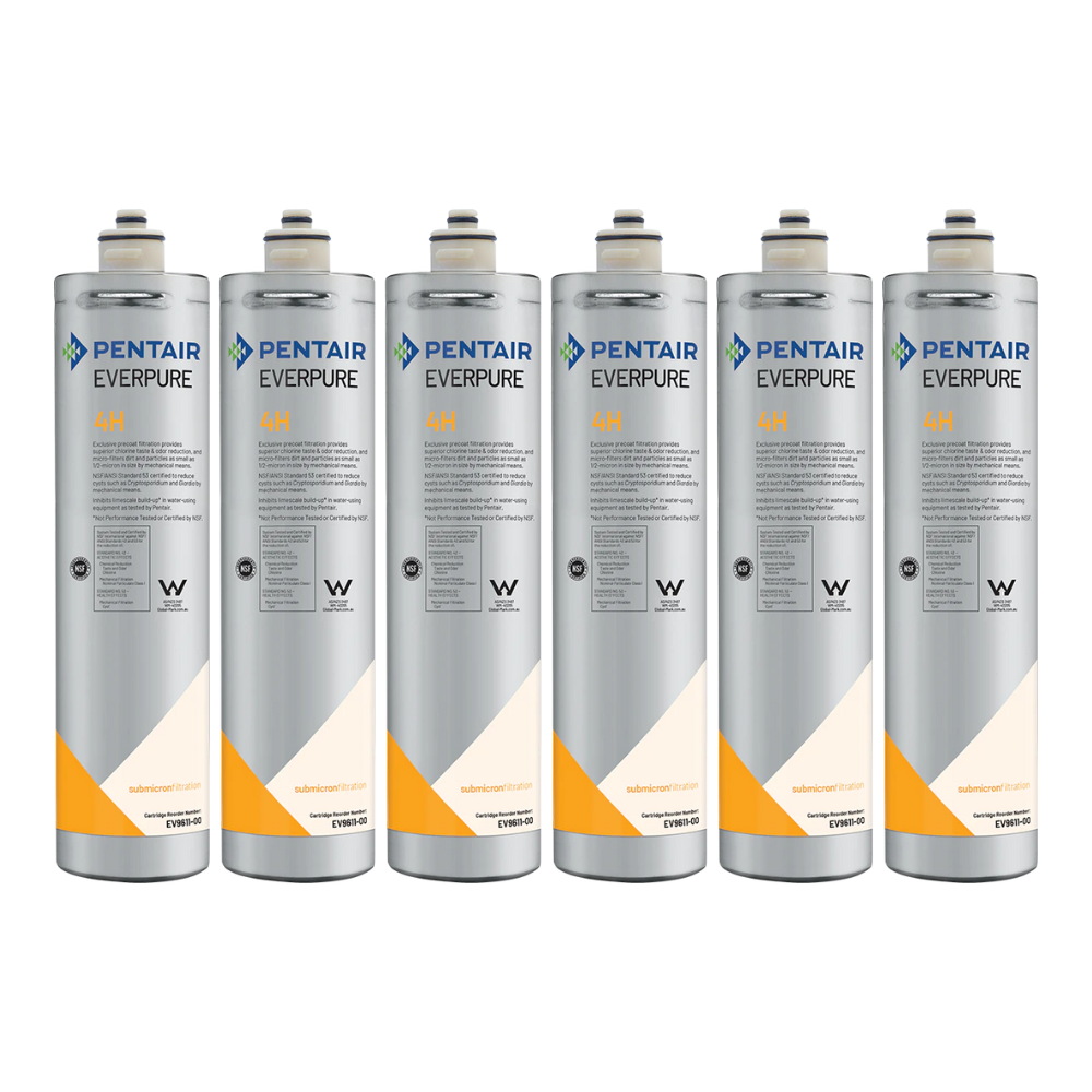 Everpure EV961100 | 4H (6 Pack)