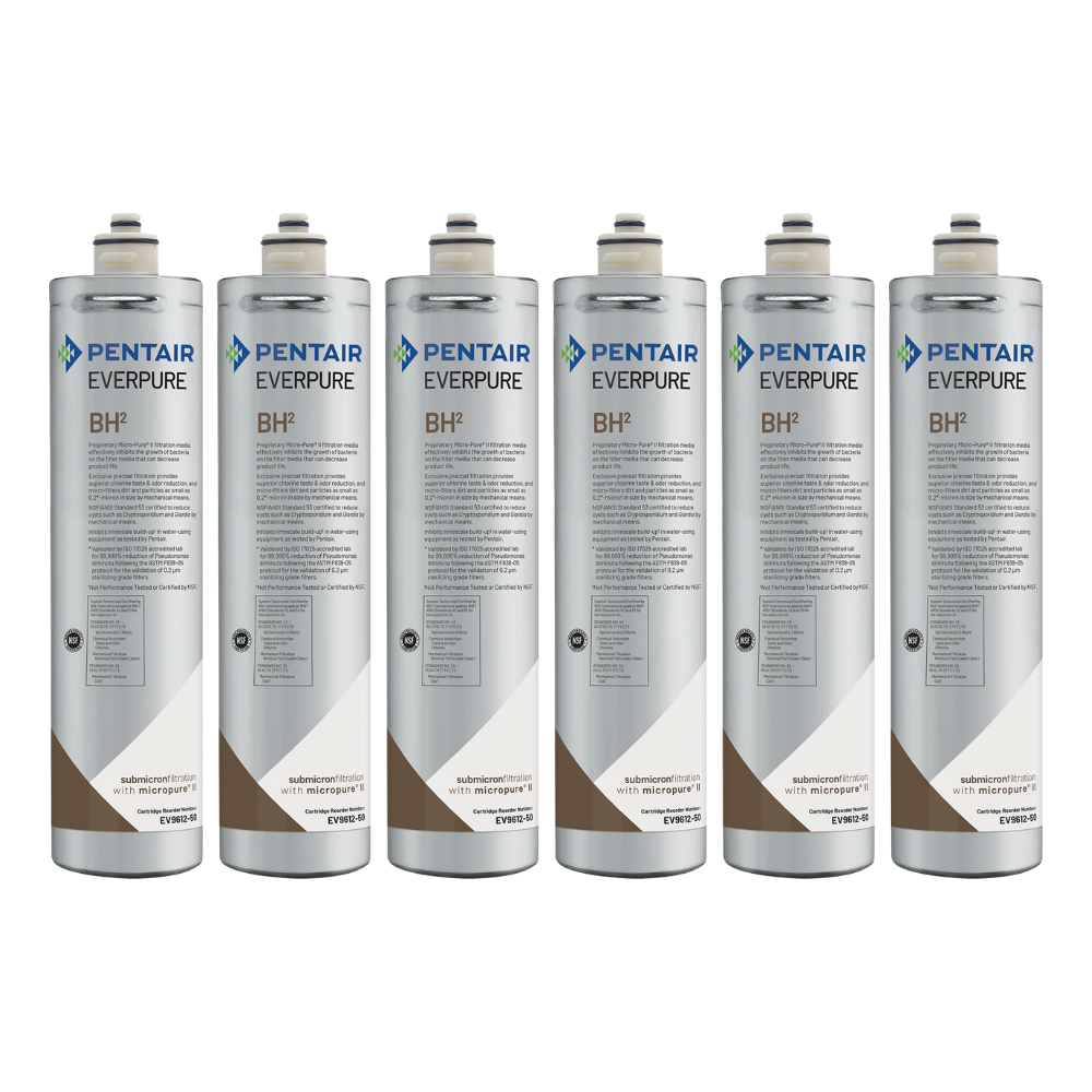 Everpure EV961251 6 Pack