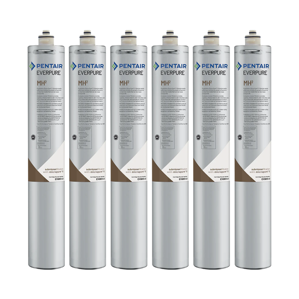Everpure EV961326 MH2 6 Pack