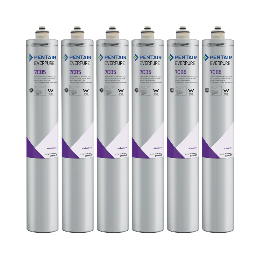 Everpure EV961816 7CB5 (6 Pack)