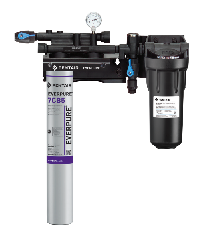 Everpure EV979721 | Kleensteam II Single System