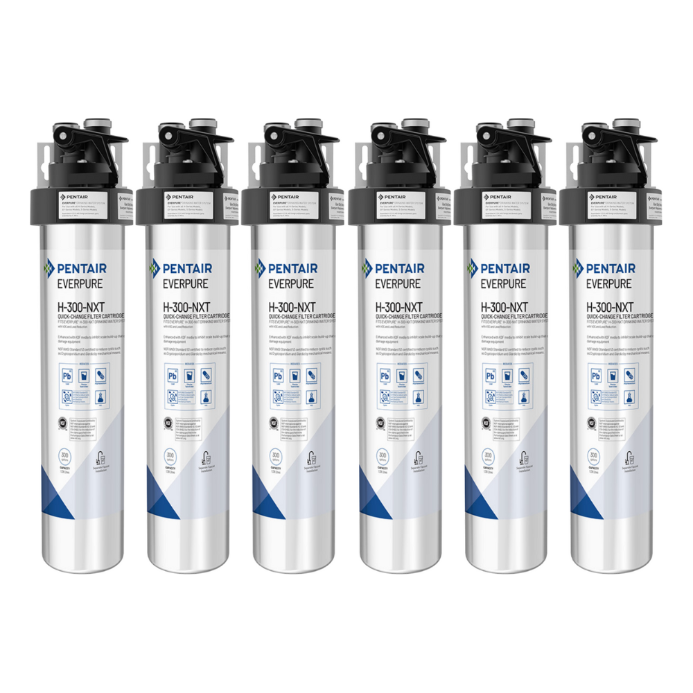 Pentair Everpure EV927156 | H-300-NXT Drinking Water System | 6-Pack, 300 gal