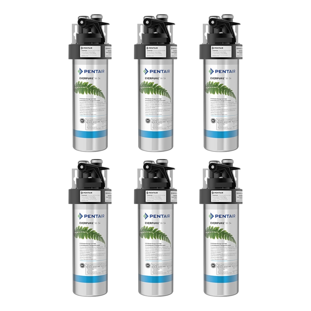 Pentair Everpure EV925266 | H-54 Drinking Water System | 750 gal (6 Pack)