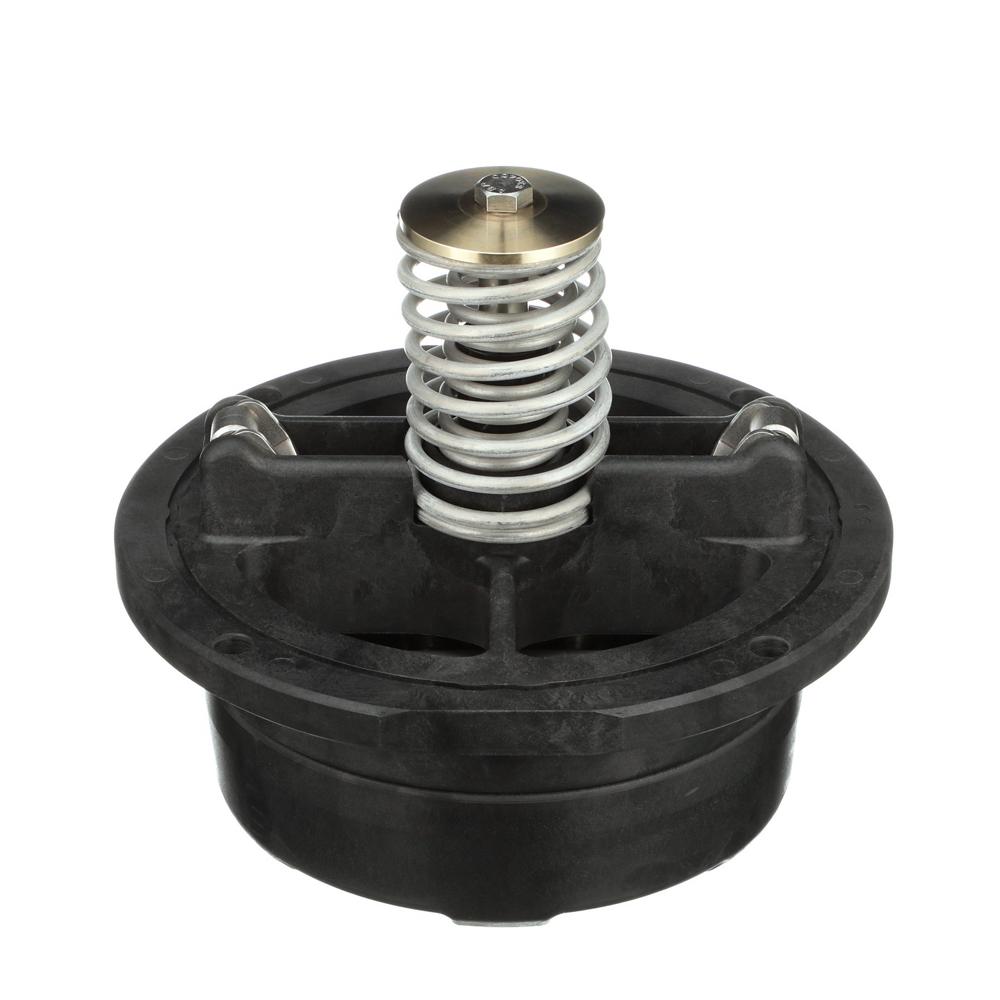 Zurn Wilkins RK8-375CK1