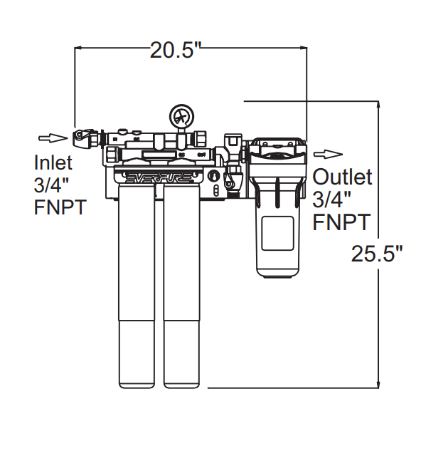 Everpure EV979722 | Kleensteam II Twin System | 5 GPM