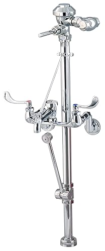 Zurn Z60842AV-BWN | Manual Flush Valve, AquaVantage, Bedpan Washer