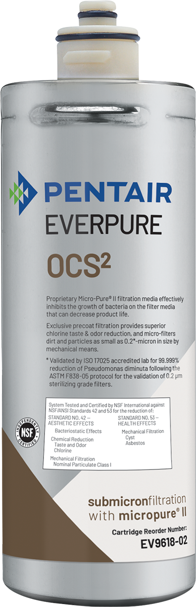 Everpure EV961807