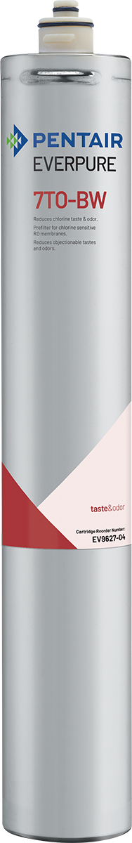 Everpure EV962704