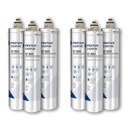Everpure EV985756 | EF - 3000 Replacement Cartridges | 3,000 gal (6 Pack) - BottleFillingStations.com