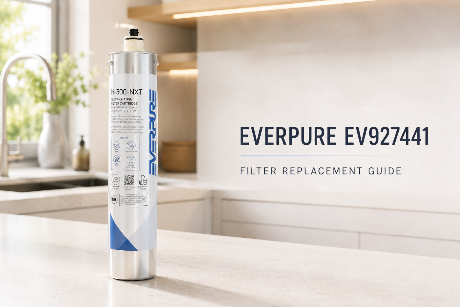 Everpure EV927441 Filter Replacement