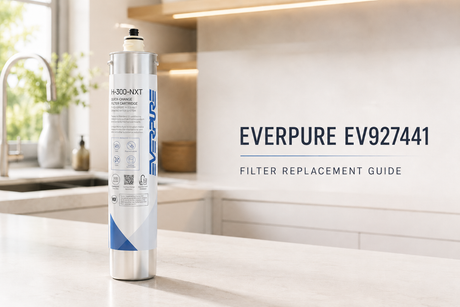Everpure EV927441 Filter Replacement