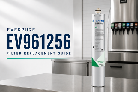 Everpure EV961256 Filter Replacement