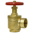 Wilkins 212-F100GST