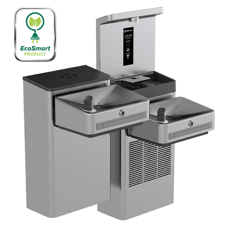 Haws 1212SFH Series