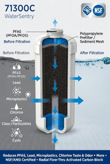 Elkay 71300c filter infographic