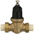 Wilkins 34-NR3XLDUCPVC