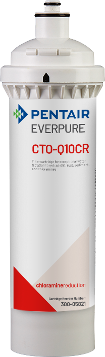 Everpure 300-05821