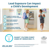 Elkay Drinking Fountain with Lead Filter - Protects children from lead exposure.