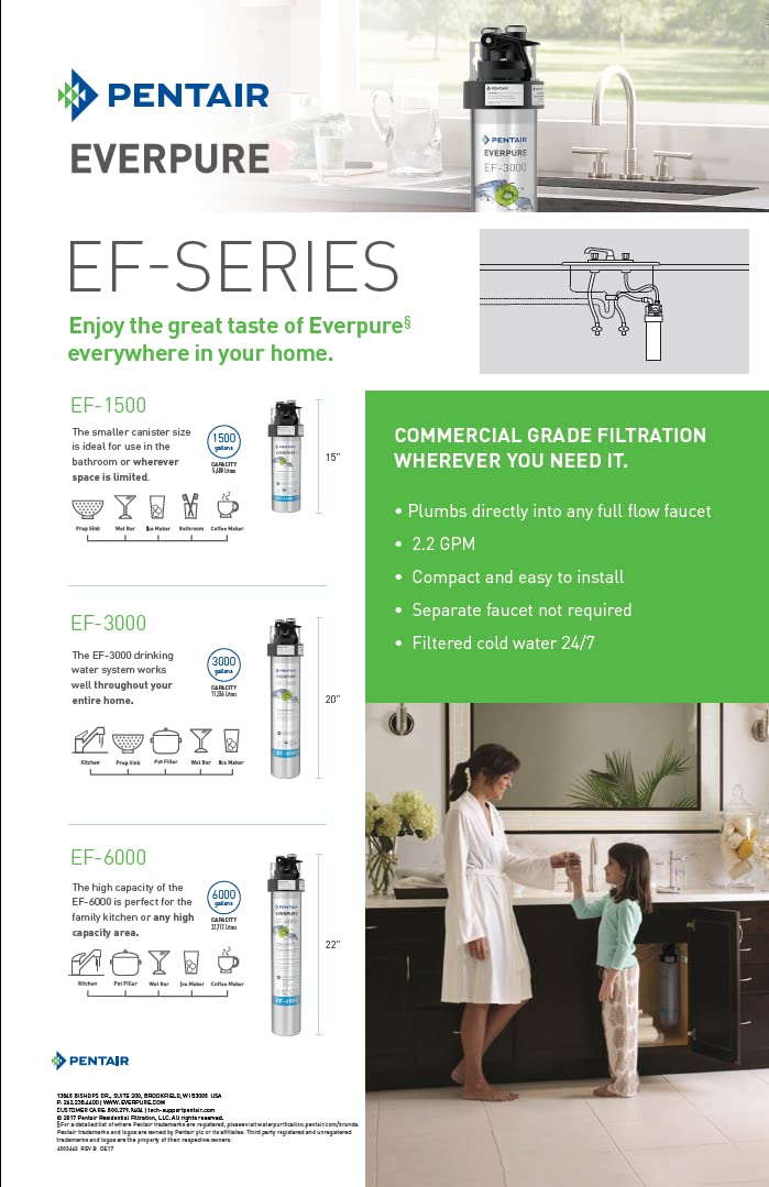 Everpure EV985750