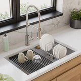Elkay ECTRUA31169TFCW