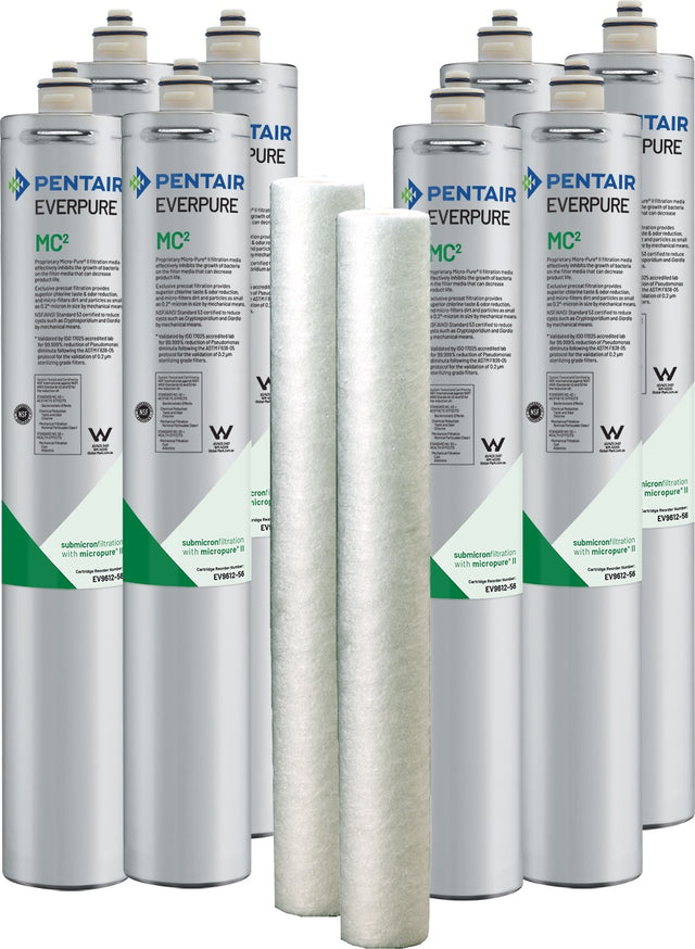 Pentair Everpure EV308784