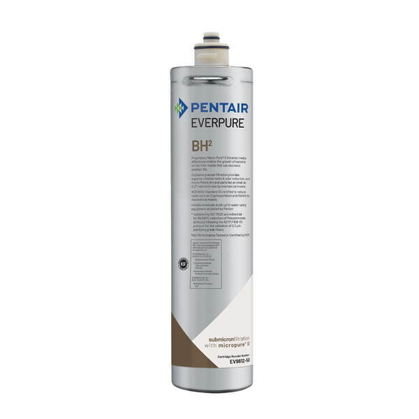 Pentair Everpure EV961250 | BH2 Replacement Cartridges, 3,000 Gal