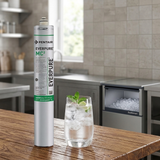 Everpure EV961256