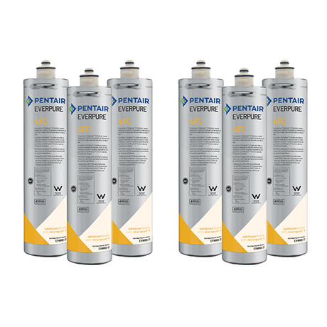 Pack of 6 Pentair Everpure EV969227 4FC Water Filters - These high-quality water filters are designed for excellent filtration performance and are perfect for home or commercial use.