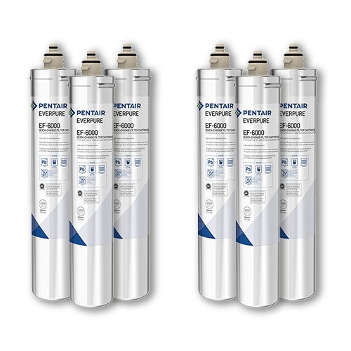 Pack of 6 Pentair Everpure EV985556 EF-6000 Water Filters - These high-quality water filters are designed for excellent filtration performance and are perfect for home or commercial use.