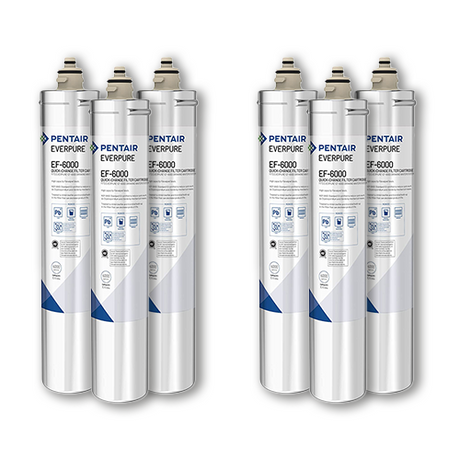 Pack of 6 Pentair Everpure EV985556 EF-6000 Water Filters - These high-quality water filters are designed for excellent filtration performance and are perfect for home or commercial use.