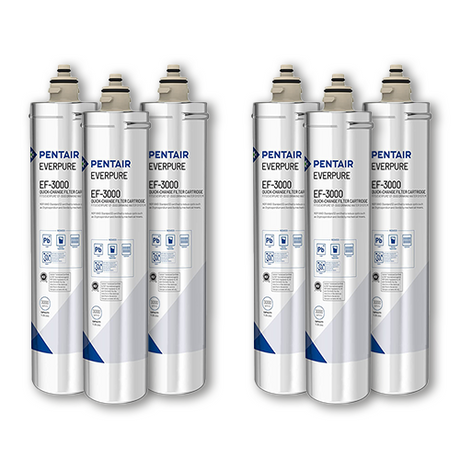 Pack of 6 Pentair Everpure EF-3000 Water Filters - These high-quality water filters are designed for excellent filtration performance and are perfect for home or commercial use.