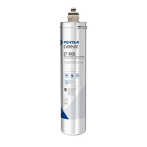Everpure EV985750
