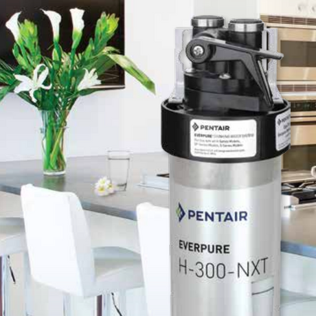 General image of Pentair Everpure H-300-NXT