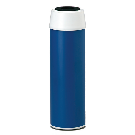 Everpure EV910811 (CGT-10)