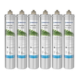 Everpure EV927071 | H-300 Replacement Cartridge (6 Pack)