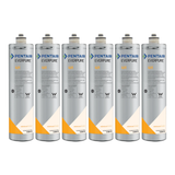Everpure EV961100 | 4H (6 Pack)
