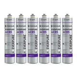 Everpure EV961716 | 4CB5 Replacement Cartridge | 6,000 gal (6 Pack)