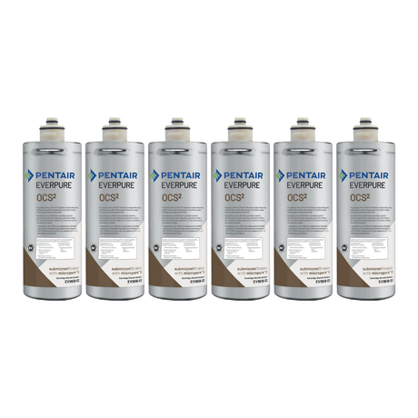 Everpure EV961807 OCS2 6 Pack
