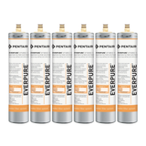 Everpure EV978112 | EFS8002-S (6 Pack)