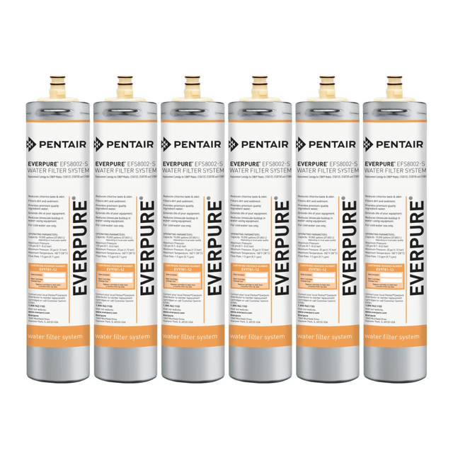 Everpure EV978112 | EFS8002-S (6 Pack)