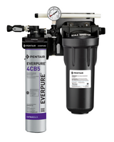 Everpure EV979750