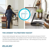 Elkay SWUF2520WHFLC