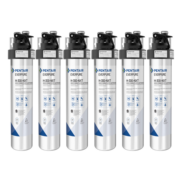 Pentair Everpure EV927156 | H-300-NXT | 6-Pack, 300 gal