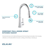 Elkay LK6000