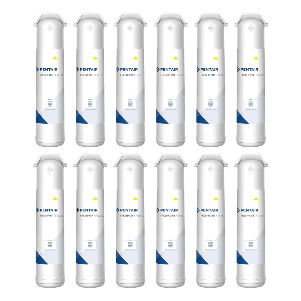 Pentair 655116-96 | F1S5-RC Sediment Filter