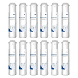 Pentair 655120-96 | F1B1-RC Replacement Cartridge